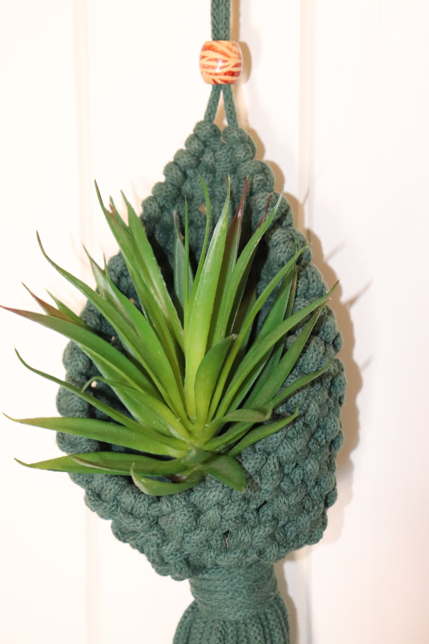 Mini pod plant holders