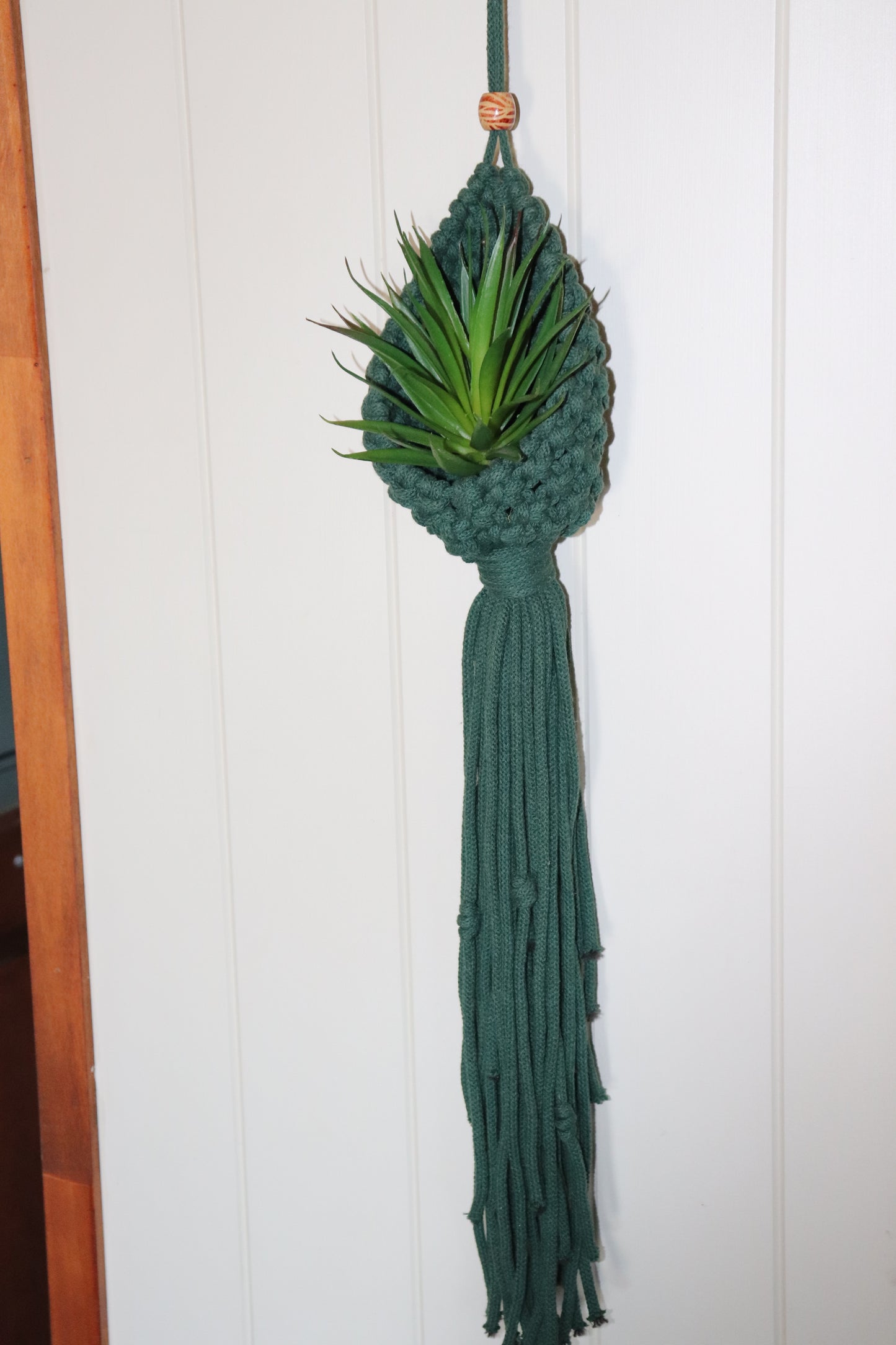 Mini pod plant holders