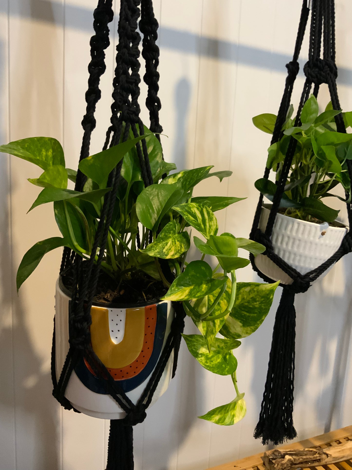Pot Plant Hangers