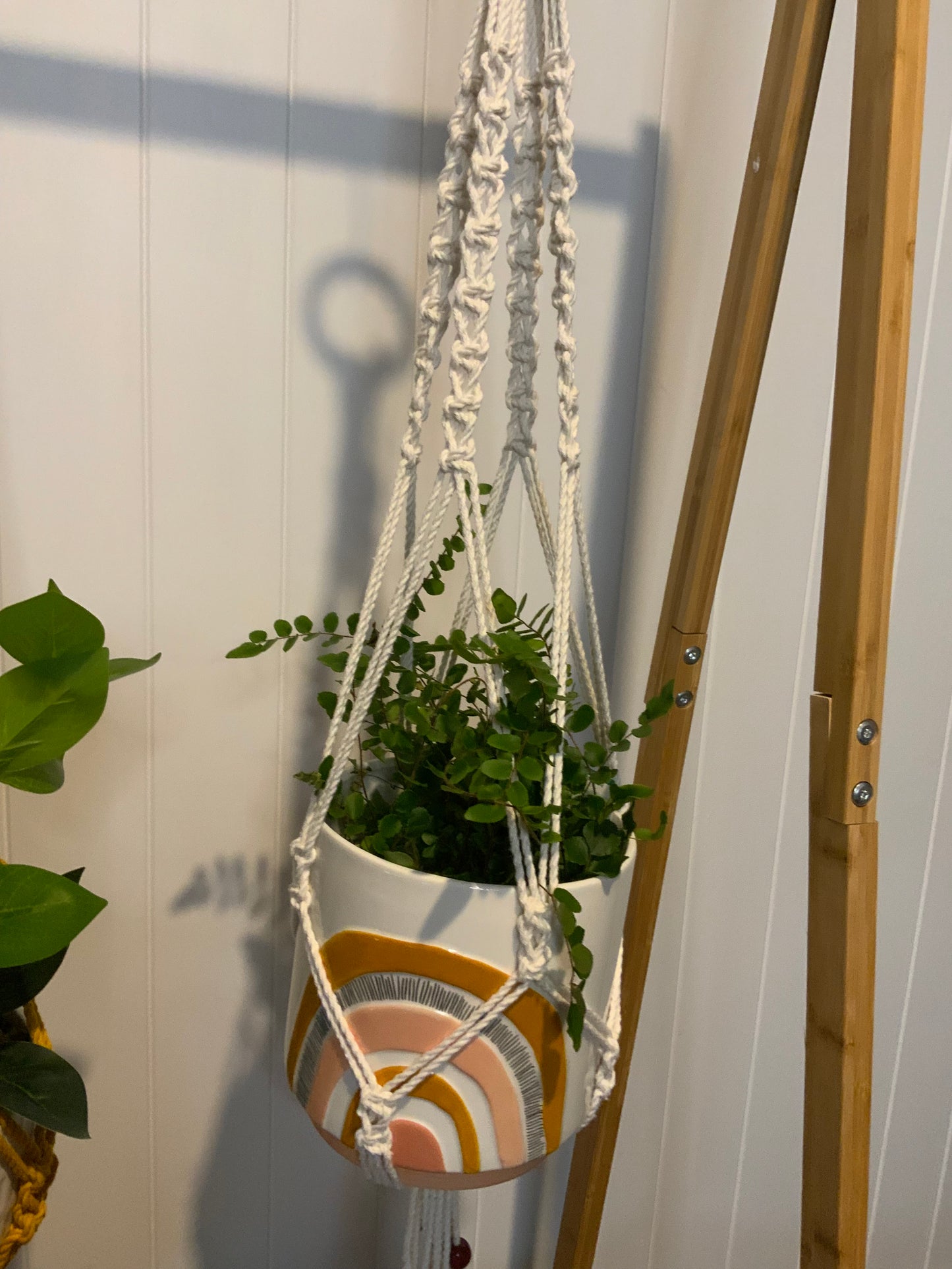 Pot Plant Hangers