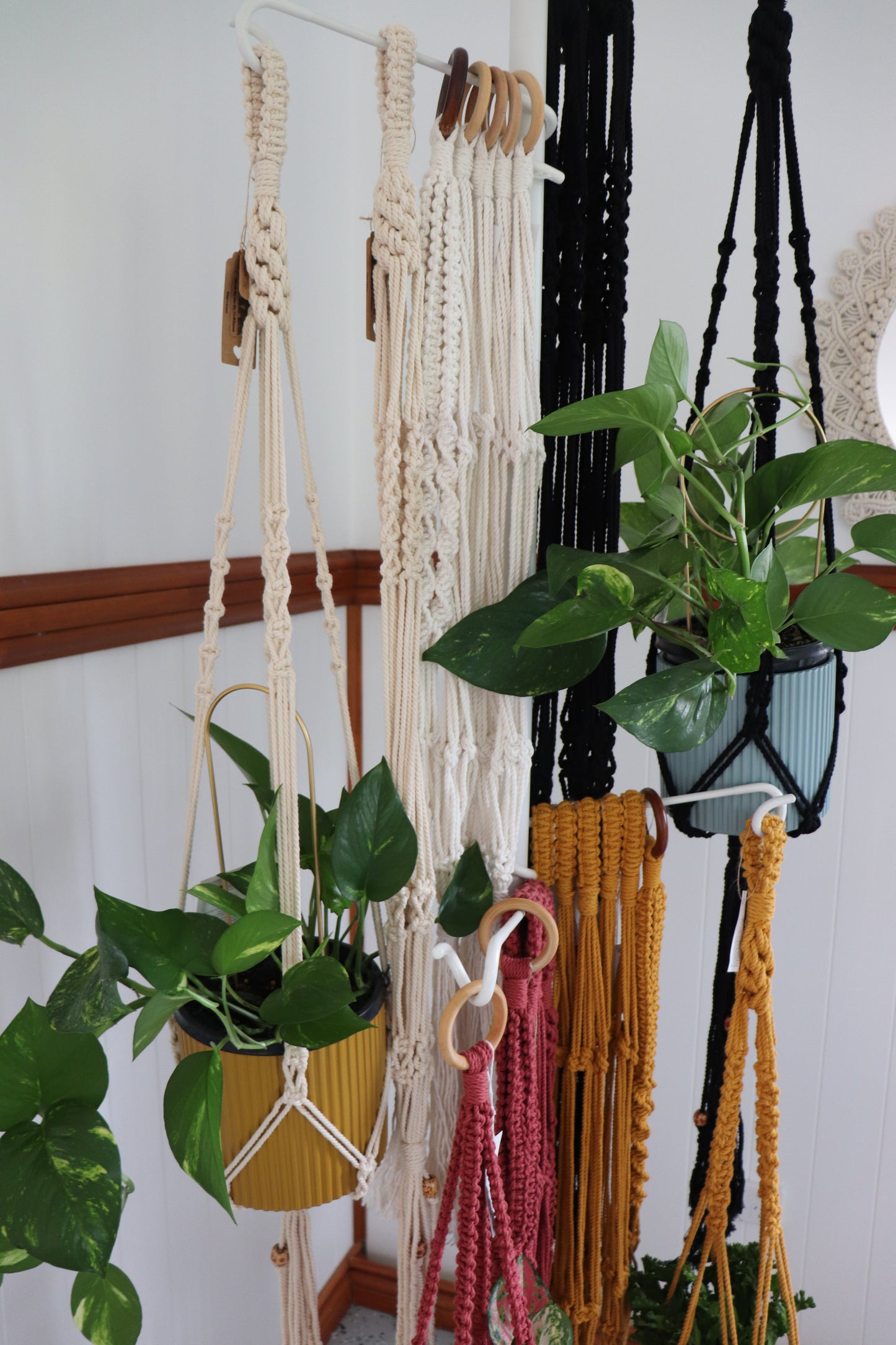 Pot Plant Hangers