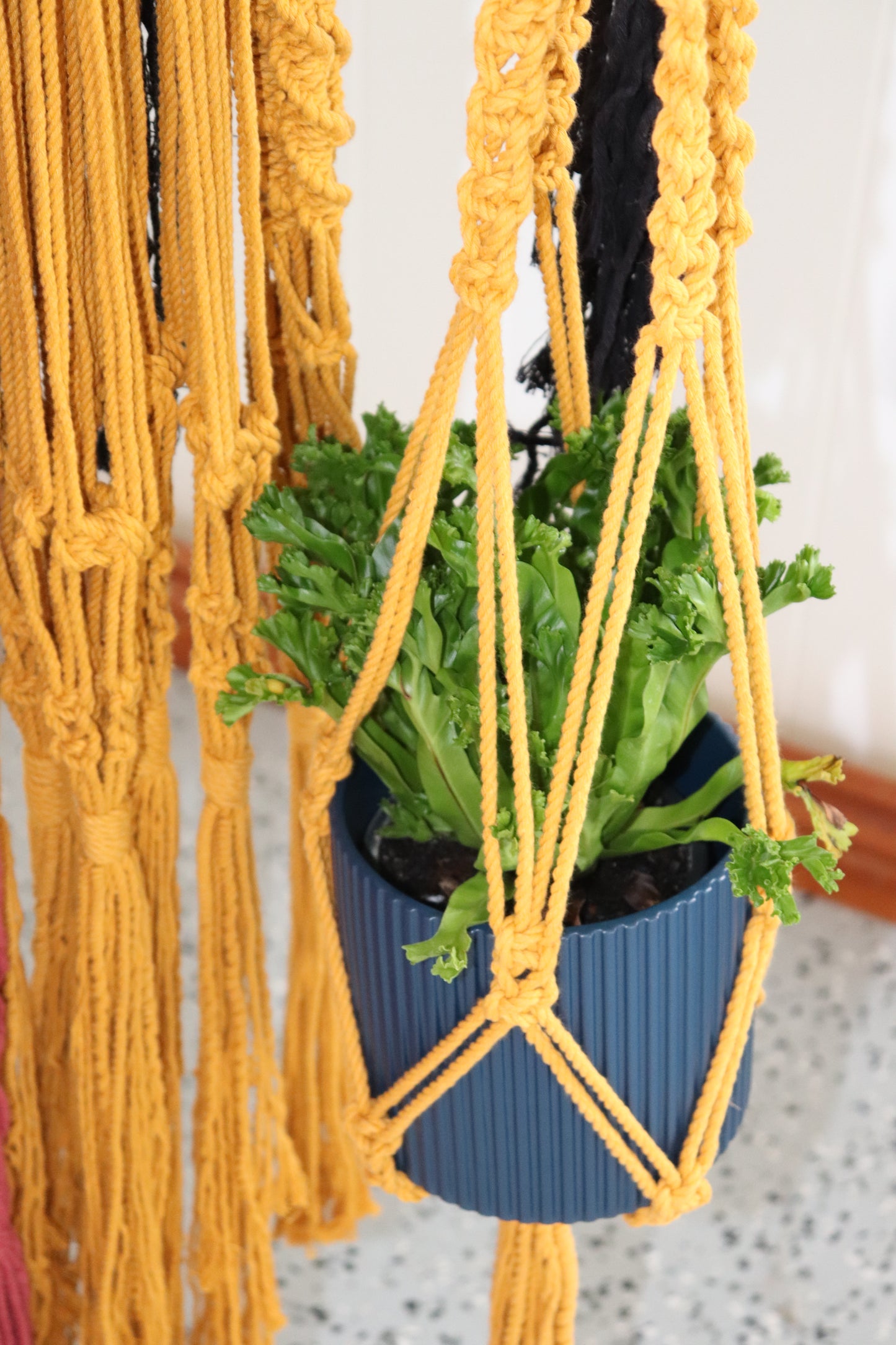 Pot Plant Hangers