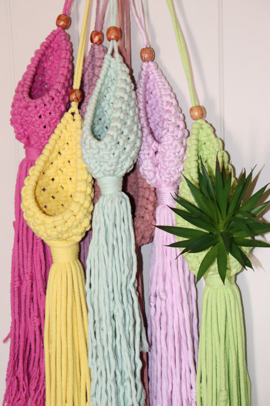 Mini pod plant holders
